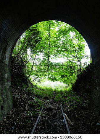 The abandoned tunnel in the forest.