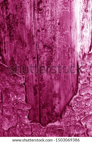 Bark of old big tree texture in pink tone. Abstract background and texture for design.