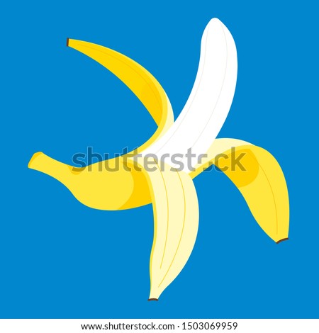 Peeled banana. Vector illustration open banana. Yellow tropical fruit on blue background.