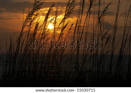 a picture of beach scene at dawn