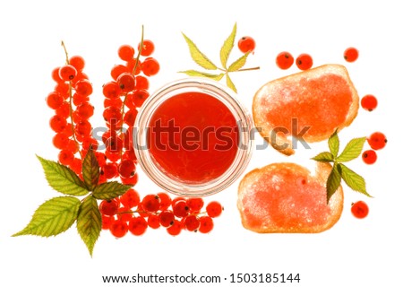 Red currant jelly with berries and jelly toast backlit on a lightbox.
