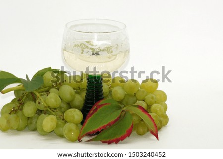 Fresh vine exposed to white background                  
