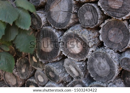 Wooden logs and boards warehouse of natural material