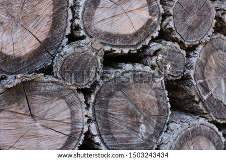 Wooden logs and boards warehouse of natural material