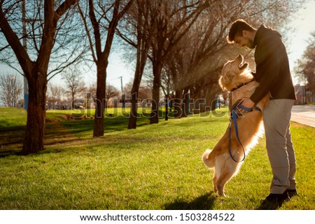 Dog (golden retriever) and man staring at each other in a lovely way. Park background with the daylight and sun rays behind. Horizontal Photography Royalty-Free Stock Photo #1503284522