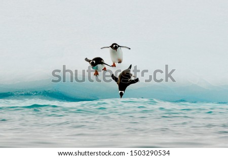 Three penguins are jumping into the ocean. Royalty-Free Stock Photo #1503290534