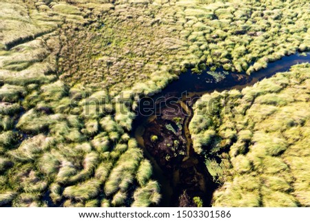aerial view to river in delta Okavango area.
