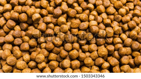 dry food for your favorite animals, nutritious, vitamin, scattered background