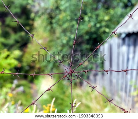 Pattern of rusty steel barbed wire on the background of greenery and garden house