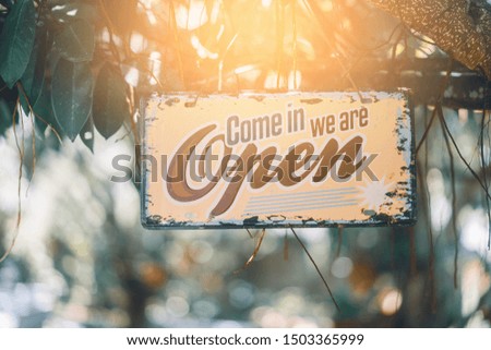 Open sign hanging on tree with green nature bokeh sunlight background. Business finance and service concept. Vintage tone filter effect color style.