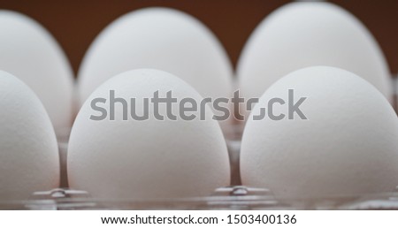 A pack of white chicken egg