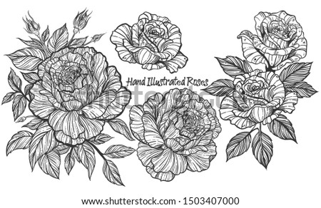 Black And White Detailed Hand Illustrated Flowers