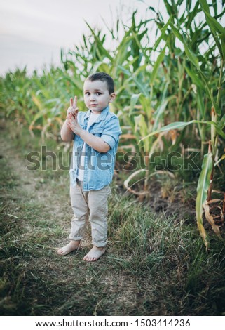 Mom dad and little boy son have fun in corn field together at sunset. They run, fly like a plane, kiss and have fun together. Happy family