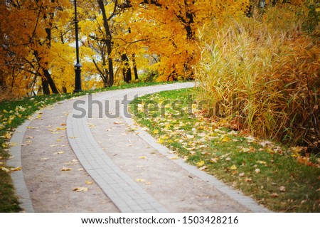 Turning alley in a Park in Fall with Golden Leaves