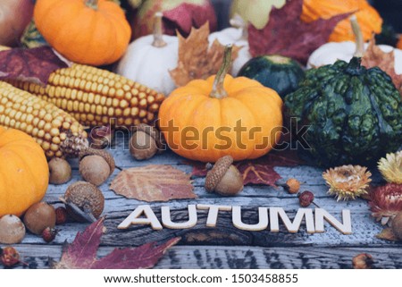 Autumn with mini pumpkins, gourds, apples and fall leaves