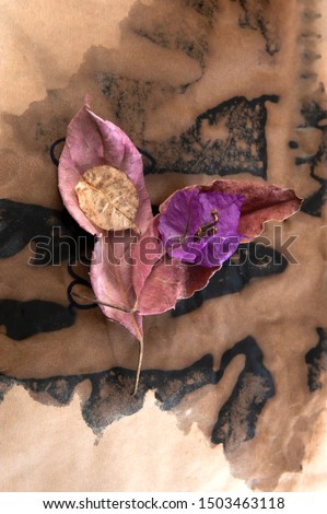 Still Life.Dried leaves, pink, light yellow, on kraft paper.Vertical.Composition.Textures, black spots, transparent drops.Close-up.Space for text.
