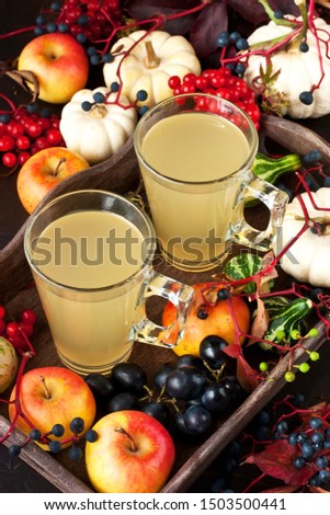 Autumn drinks concept. Mulled wine, cider or punch. Traditional autumn spicy cocktail with apples
