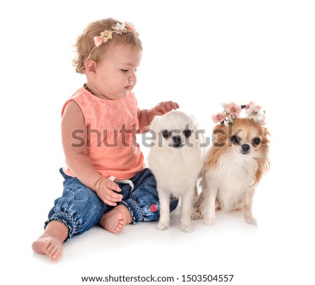 child and dog in font of white background