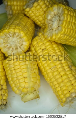 dark mood, selective focus. low key. ear of ripe corn with tops on a white plate 