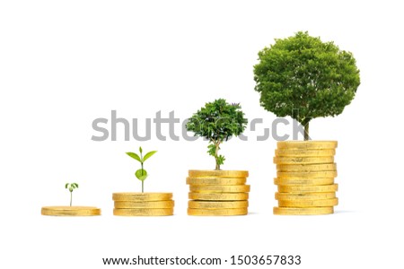 Artificial gold coin stack with growing tree on white background. Royalty-Free Stock Photo #1503657833