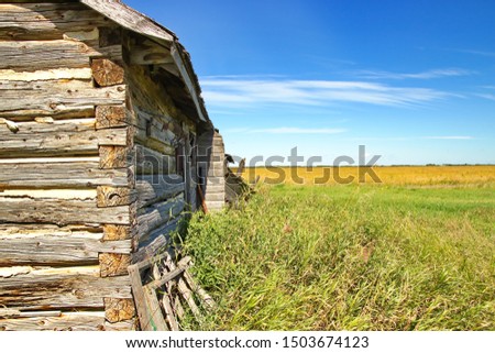 An end of an abandoned pioneer log house showing notched wood construction. Royalty-Free Stock Photo #1503674123