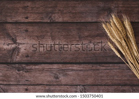 Wood grain desktop and wheat ears meal copy space top view