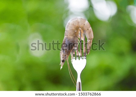 shrimps on a fork close up / fresh raw shrimp prawns with nature green background for cooked food on outdoors