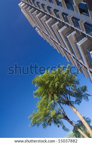 Building and tree under blue sky