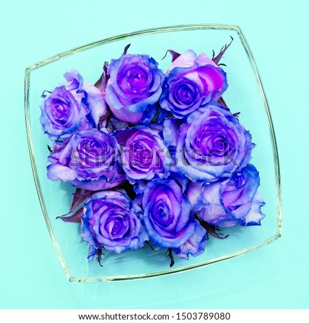 Purple roses minimal flat lay art