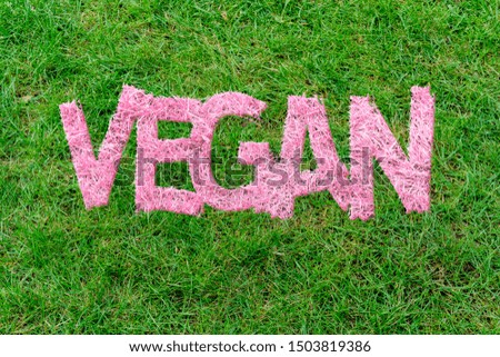 vegan word text drawn on  grass, eco healthy products concept