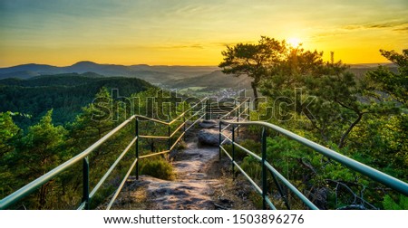 views in the Palatinate Forest 