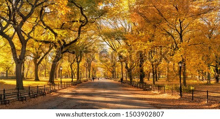 Central park in autumn with beautiful autumn foliage, New York City, USA Royalty-Free Stock Photo #1503902807