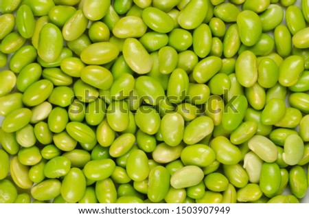 Edamame. Green soybeans. Also called mukimame, unripe soya beans outside the pod. Glycine max, a legume, edible after cooking and a protein source. Closeup, macro food photo.
