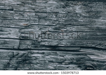 Texture of an old gray wood. Vintage wood leeward. Photo background with old wood with fibers.