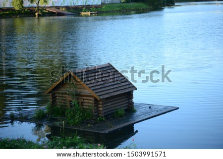 Wooden bird house on the water in summer