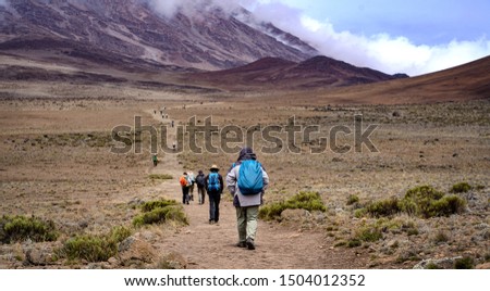 Group of Hikers Trekking Kilimanjaro Mountain, Kilimanjaro National Park, Tanzania  Royalty-Free Stock Photo #1504012352