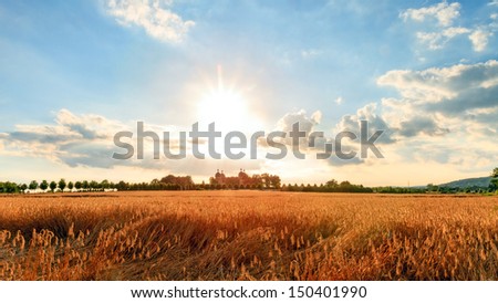 The long hot summer.  High Summer Landscape Shot at Chateau Seehof in Oberfranken   Bavaria with ripe grain in front of a blue sky