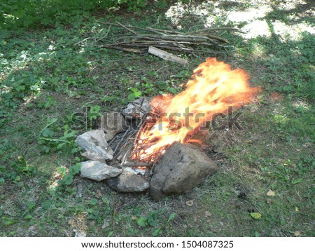 outdoor natural fireplace - burning wood