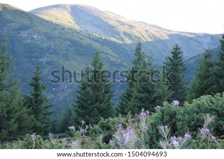 Carpaty, Ukrainian mountains. Nice place for travel in mountains. Royalty-Free Stock Photo #1504094693