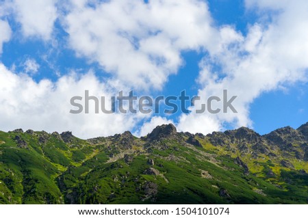 View of the alpine mountains on a sunny summer day. A beautiful picture of the sky, mountains and forest.