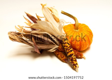 Still Life of Sparkler Pumpkin and Indian Corn