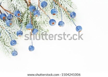 Christmas border of Xmas tree branch and blue berries isolated on white background