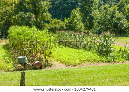 A cute little piece of farm land in Georgia. This lush green vegetation thrives under the sun and blue skies
