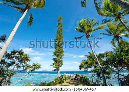 New Caledonia, Loyalty Islands, Male Island, Tadine Coast palm trees and cedar Royalty-Free Stock Photo #1504369457