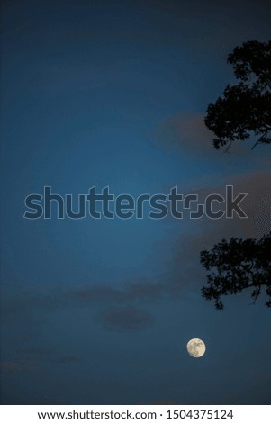 Full moon on the dark sky, space for your design