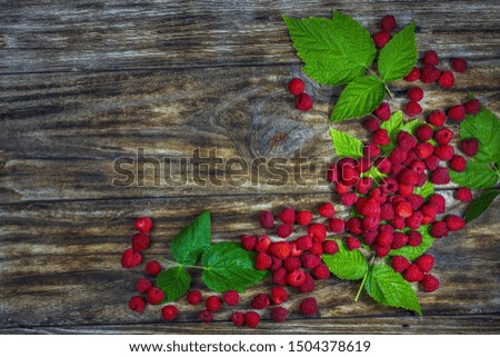 Fresh organic fruit - raspberry on wood background selective focus. Natural ripe organic berries with peduncles, green leaves, top view, flat lay with copy space.