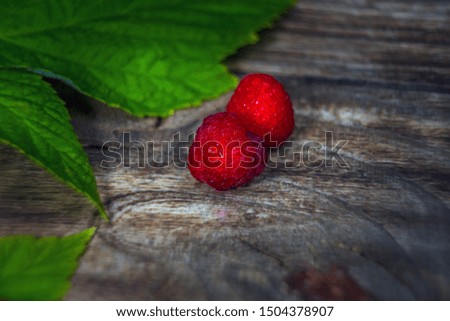 Raspberries close up view. Macro photo raspberry. Natural ripe organic berries with peduncles, green leaves, top view, flat lay with copy space.