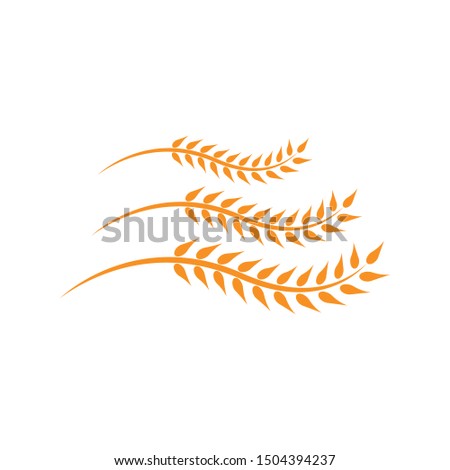 Wheat vector icon logo design