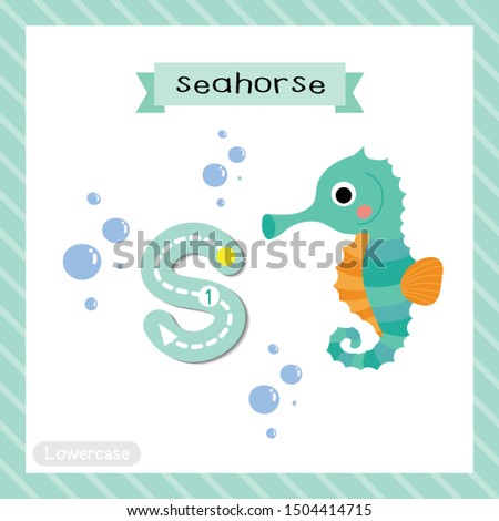 Letter S lowercase cute children colorful zoo and animals ABC alphabet tracing flashcard of Cute Seahorse for kids learning English vocabulary and handwriting vector illustration.