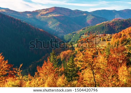 great view of romania mountain landscape. forested slopes in evening light. deciduous trees in fall foliage. warm autumn afternoon scenery. village down in the distant valley